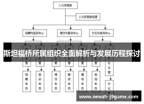 斯坦福桥所属组织全面解析与发展历程探讨 斯坦福桥所属组织全面解析与发展历程探讨