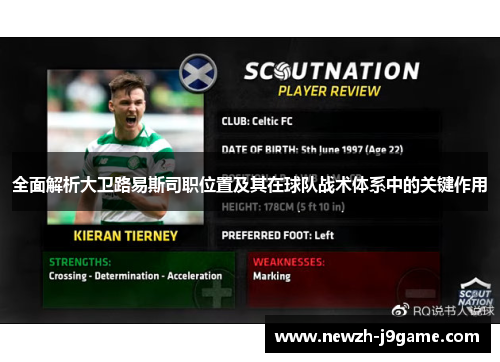全面解析大卫路易斯司职位置及其在球队战术体系中的关键作用